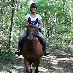 D'hote Equestre Au Petit Bonheur 3*
