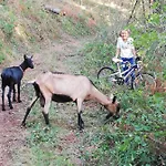 D'hote Equestre Au Petit Bonheur Chateldon