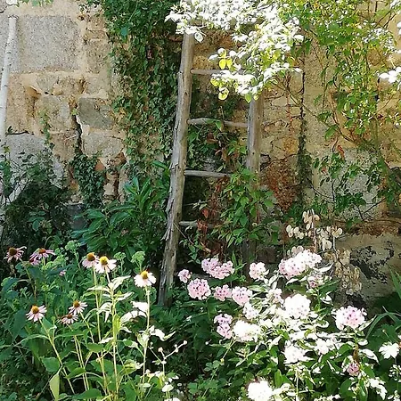 فندق مبيت وإفطار D'hote Equestre Au Petit Bonheur Chateldon