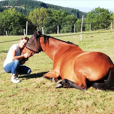 D'hote Equestre Au Petit Bonheur * Chateldon