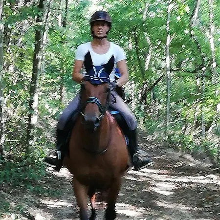 D'hote Equestre Au Petit Bonheur 3*