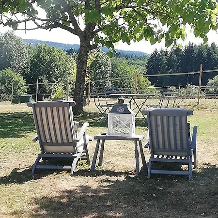 فندق مبيت وإفطار D'hote Equestre Au Petit Bonheur Chateldon