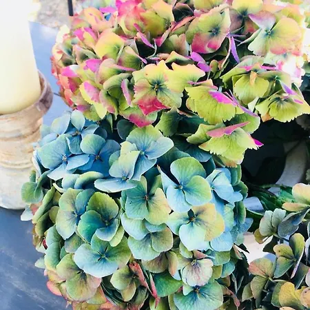 D'hote Equestre Au Petit Bonheur 3*