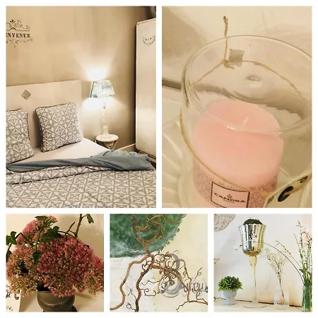 D'hote Equestre Au Petit Bonheur Bed & Breakfast 3*