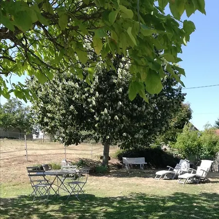 D'hote Equestre Au Petit Bonheur Chateldon