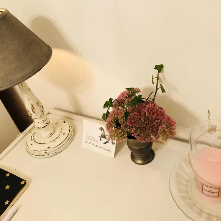 D'hote Equestre Au Petit Bonheur Chateldon