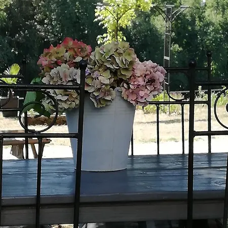 D'hote Equestre Au Petit Bonheur 3*