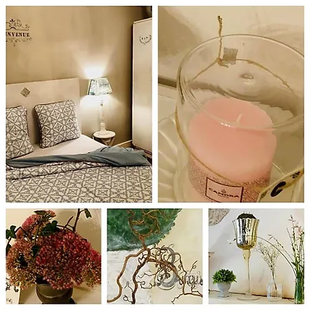 D'hote Equestre Au Petit Bonheur فندق مبيت وإفطار 3*