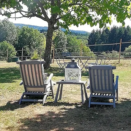 D'hote Equestre Au Petit Bonheur فندق مبيت وإفطار Chateldon
