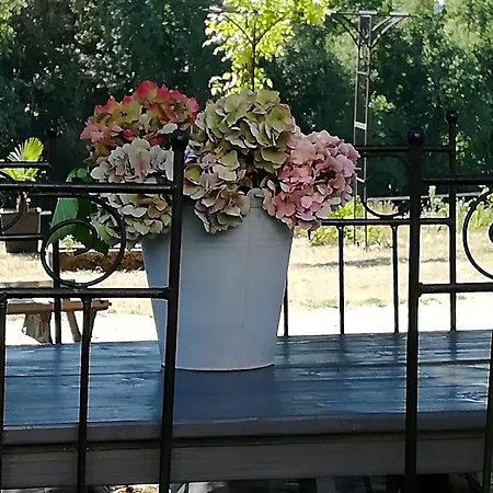 D'hote Equestre Au Petit Bonheur 3* Chateldon