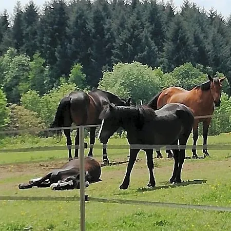 فندق مبيت وإفطار D'hote Equestre Au Petit Bonheur