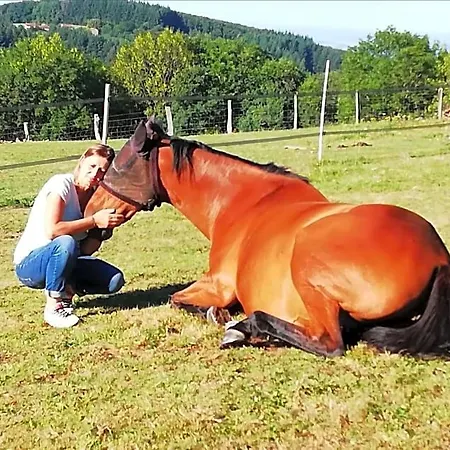 فندق مبيت وإفطار D'hote Equestre Au Petit Bonheur