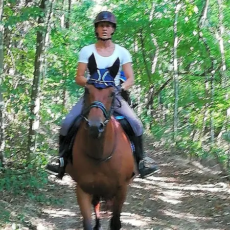 Bed & Breakfast D'hote Equestre Au Petit Bonheur 3*